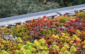 the cost of Alfrick green roof installation