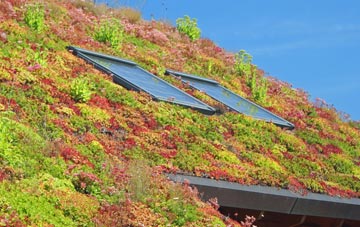 Alfrick living roof systems