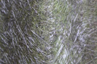 Alfrick fibreglass roof work