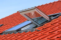 Alfrick roof window